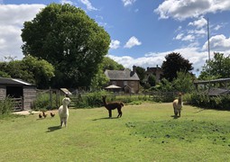 View of The Old Mill from the paddocks