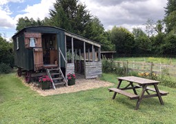 Shepherds hut glamping in the garden