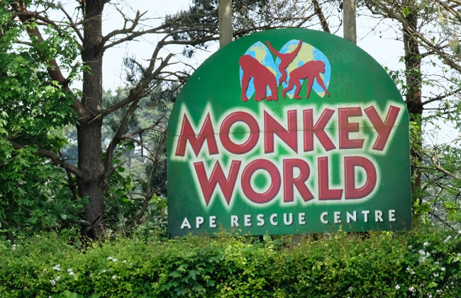 B&B near Monkey World